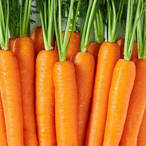 Carrot day featuring carrots (with stem)