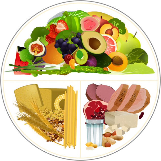 Balanced Meal illustration