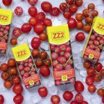 ZZ2 100% Romanita Tomato Juice
