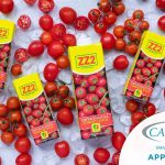 zz2 Tomato cansa approved