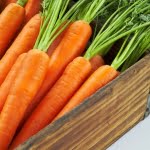 Fresh box of carrots close up