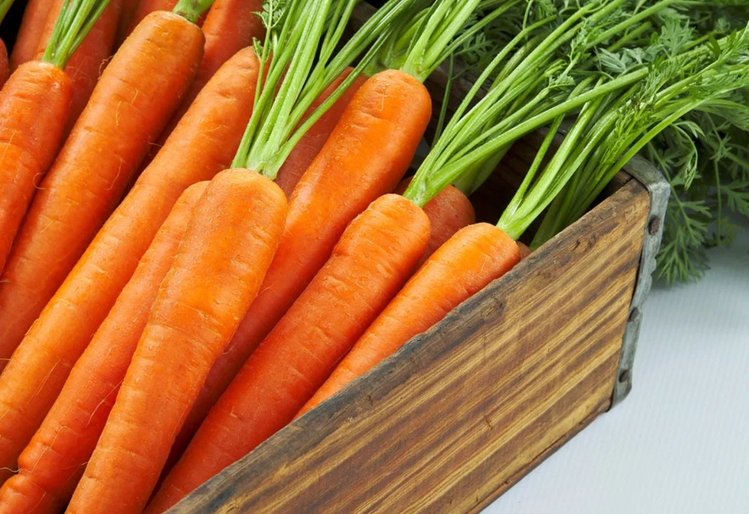 Fresh box of carrots close up