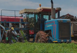 farming tractor close